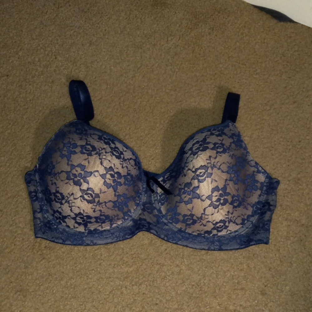 Paramour Navy bra 40D